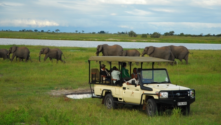 Chobe Chilwero - Game Drive